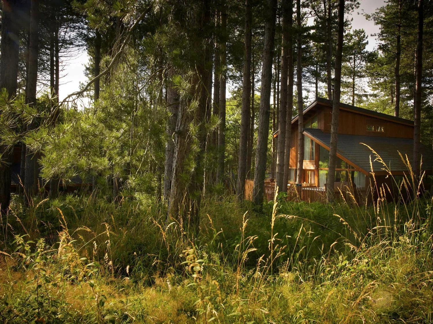 Blackwood Forest Cabins - Forest Holidays Popham Buitenkant foto