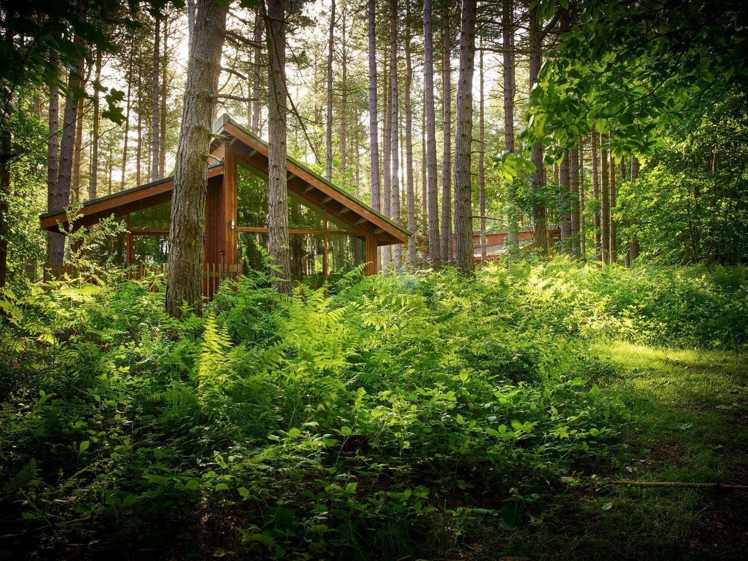 Blackwood Forest Cabins - Forest Holidays Popham Buitenkant foto