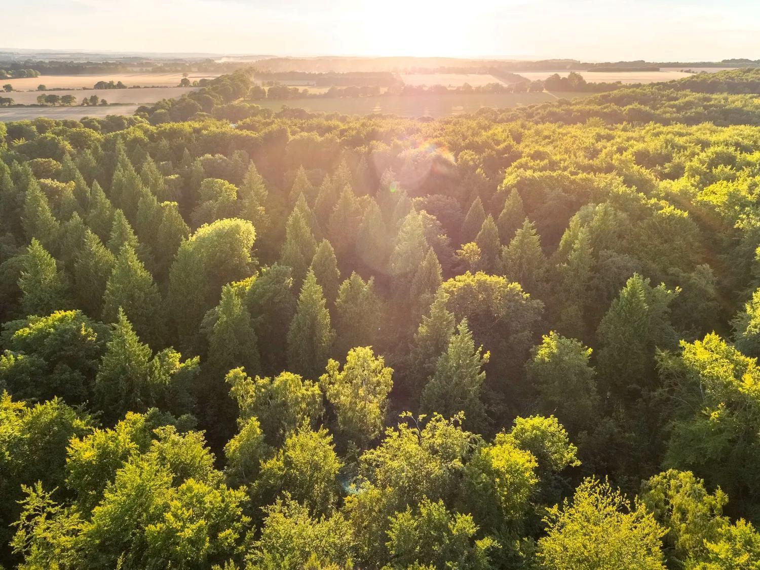 Blackwood Forest Cabins - Forest Holidays Popham Buitenkant foto