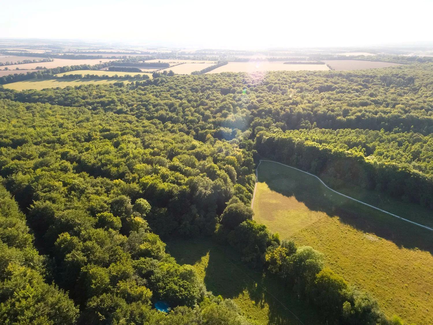 Blackwood Forest Cabins - Forest Holidays Popham Buitenkant foto